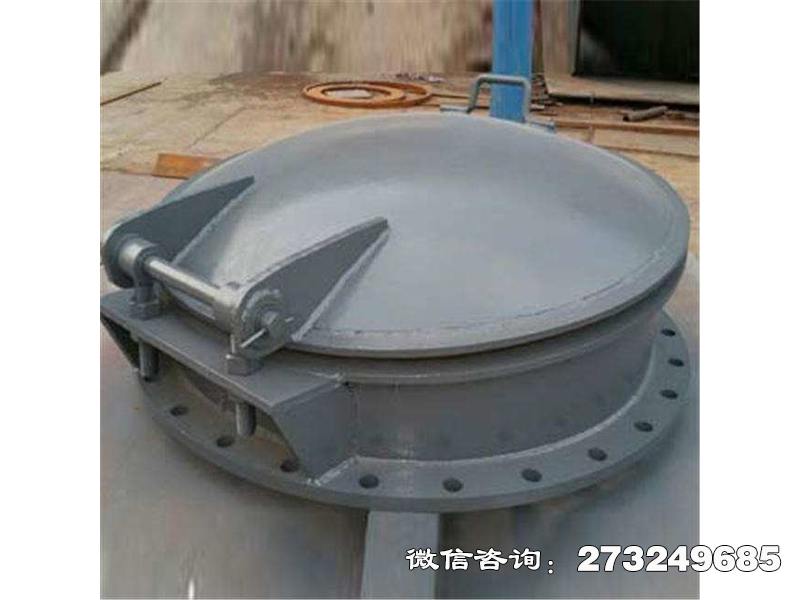 东丽圆形钢制拍门